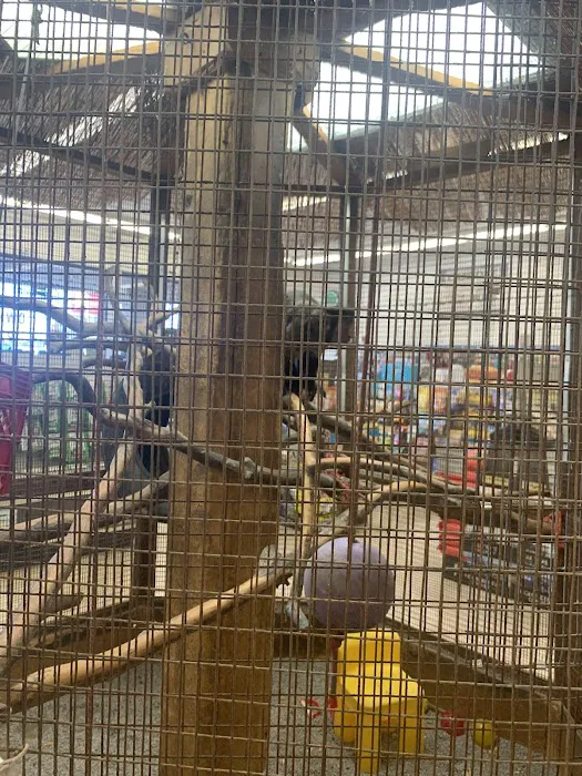 Pet Stop Picture 3