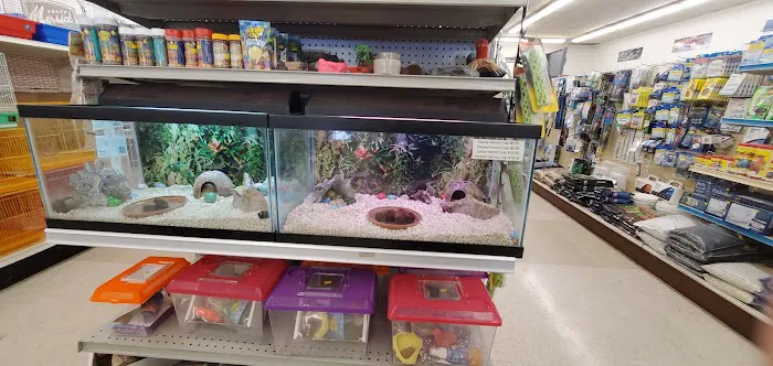 Pet Stop Picture 6