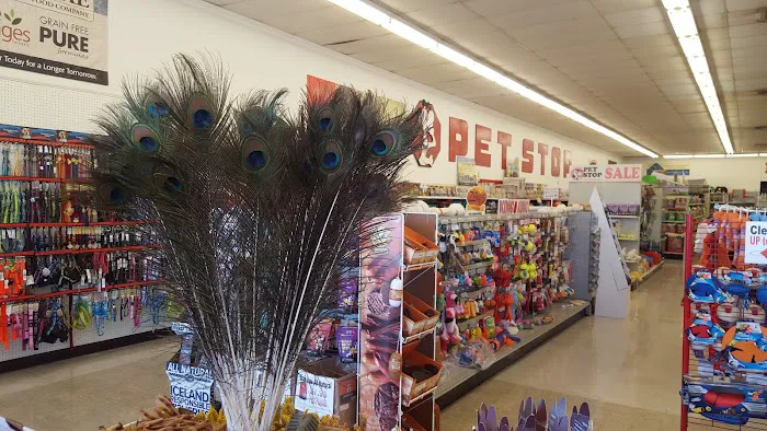 Pet Stop Picture 5