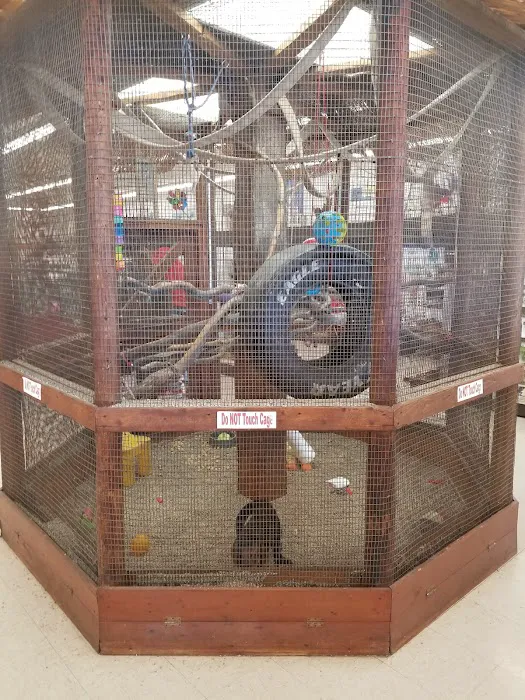 Pet Stop Picture 7