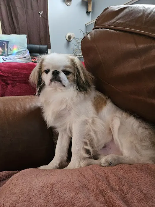 Pet Stop Picture 9
