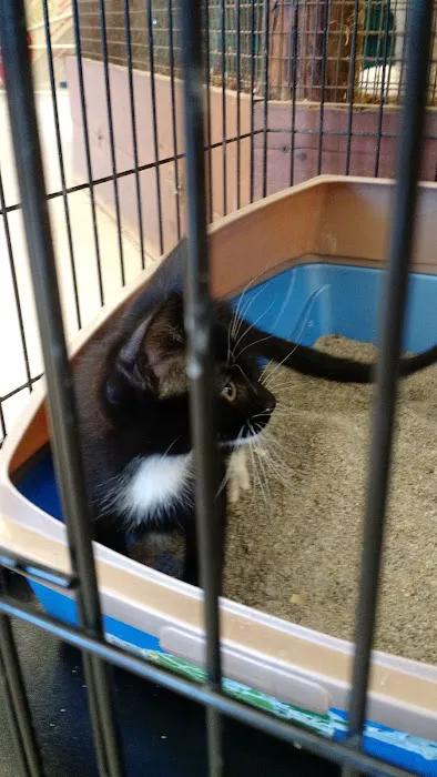 Pet Stop Picture 8