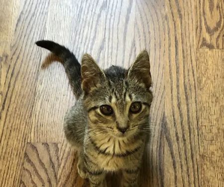 Paramus Animal Clinic
