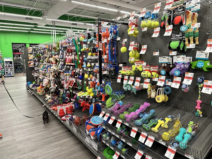 Pet Supplies Plus Leawood Picture 4