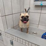 Pet Supplies Plus Leawood