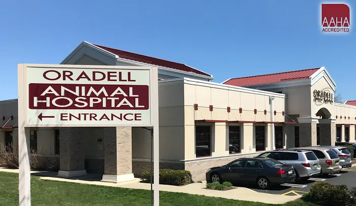 Oradell Animal Hospital - Paramus Picture 1