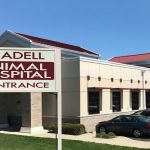 Oradell Animal Hospital - Paramus