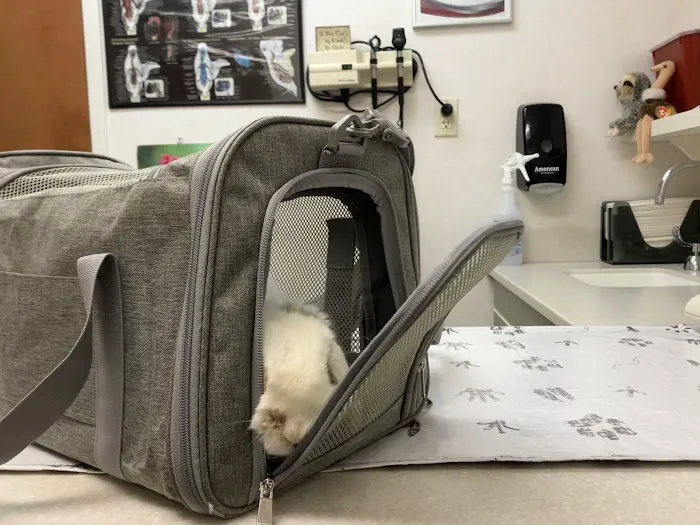 Oradell Animal Hospital - Paramus Picture 3