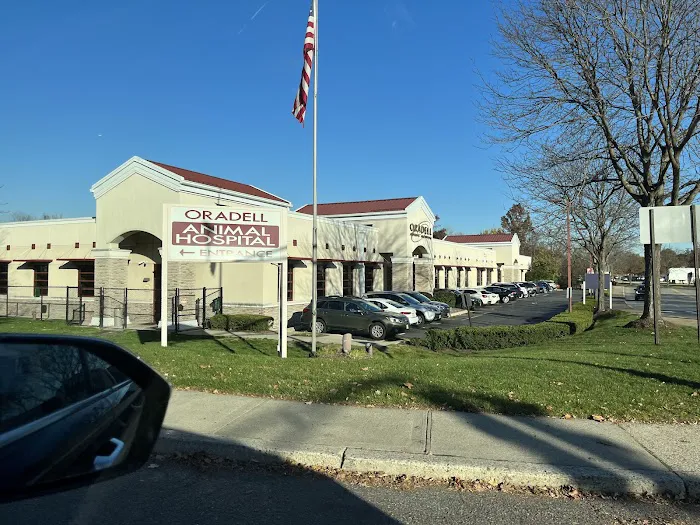 Oradell Animal Hospital - Paramus Picture 10