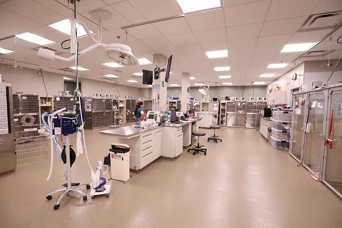 BluePearl Pet Hospital Picture 6