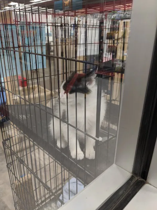 Petco Picture 10