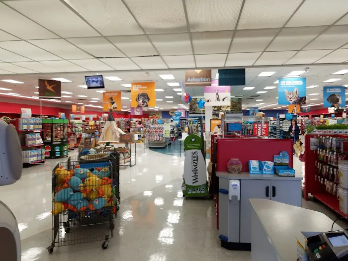 Petco Picture 3