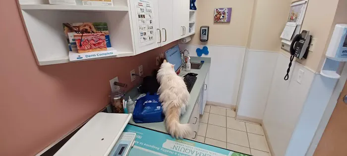 VCA Davis Animal Hospital Picture 2