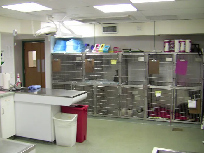VCA Davis Animal Hospital Picture 8