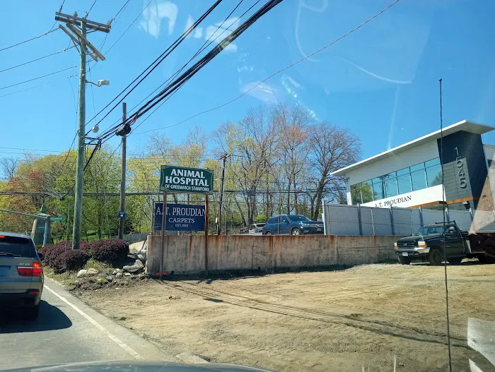 VCA Davis Animal Hospital Picture 7
