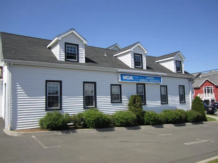 VCA Davis Animal Hospital Picture 1