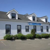VCA Davis Animal Hospital ico