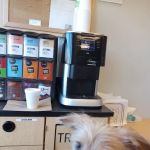 Banfield Pet Hospital