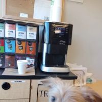 Banfield Pet Hospital ico