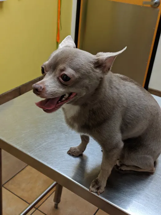 Banfield Pet Hospital Picture 2