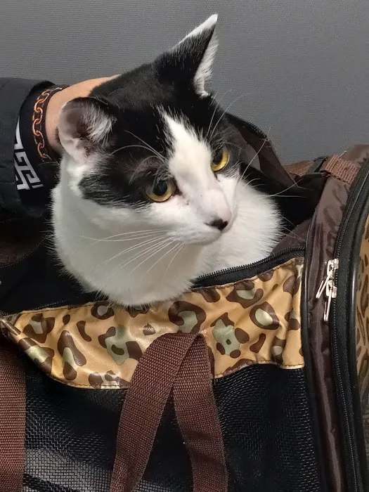 Banfield Pet Hospital Picture 9