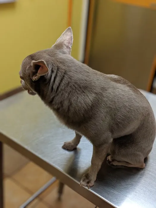Banfield Pet Hospital Picture 3