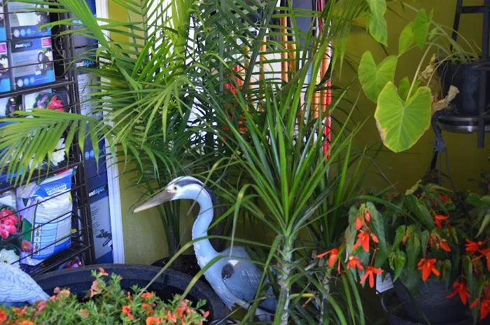 Kansas City Pond & Water Gardening Picture 10