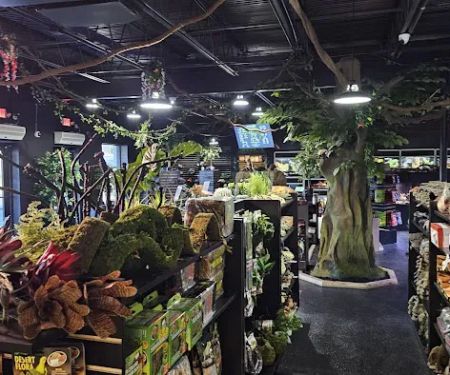 Exotic Pets Kansas City