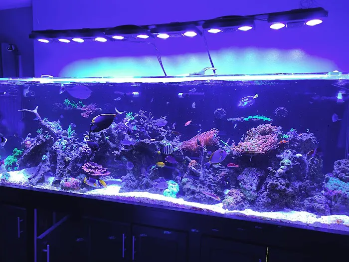 KC Aquatic Solutions Picture 2