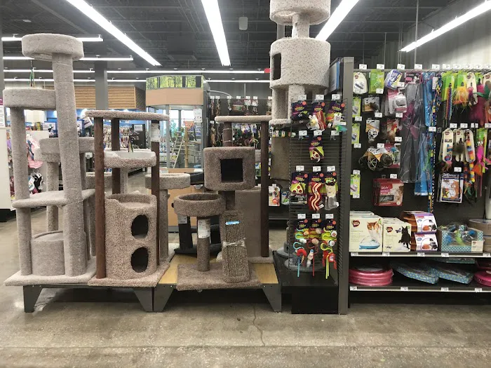 Petco Picture 3