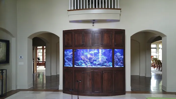 Picasso Exotic Aquatics Picture 7