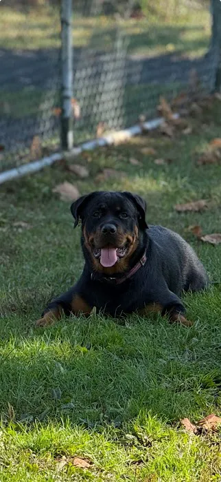 Nanuet Animal Hospital Picture 5