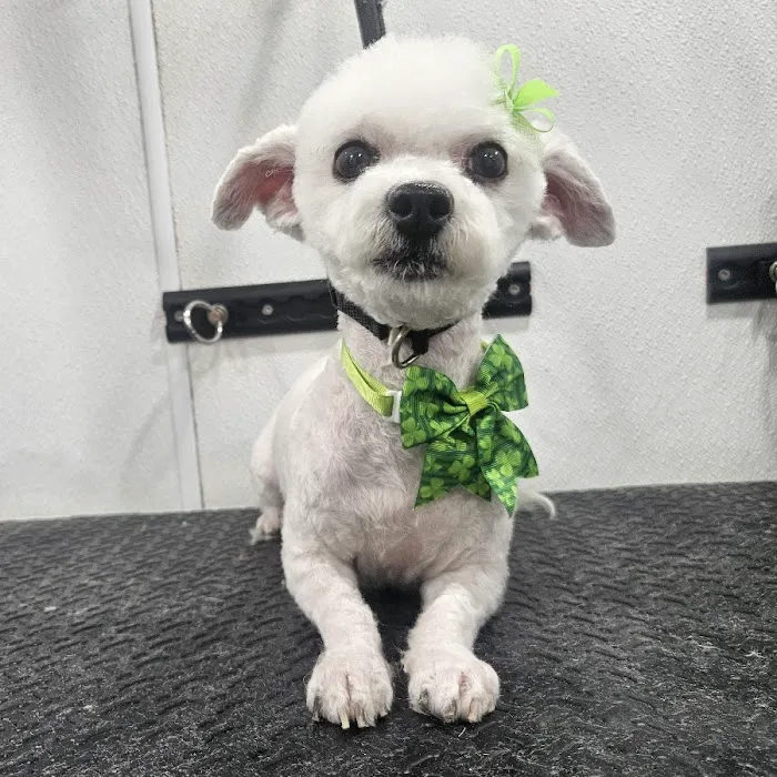 Nanuet Animal Hospital Picture 1