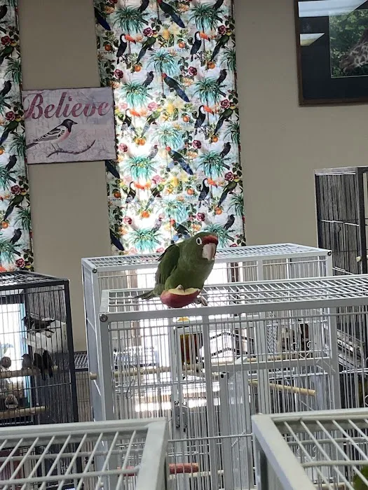 John’s Exotic Pet Store Picture 1