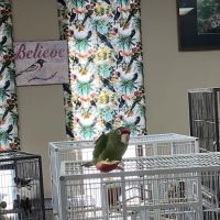 John’s Exotic Pet Store ico