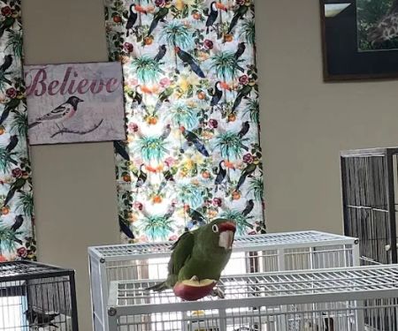 John’s Exotic Pet Store