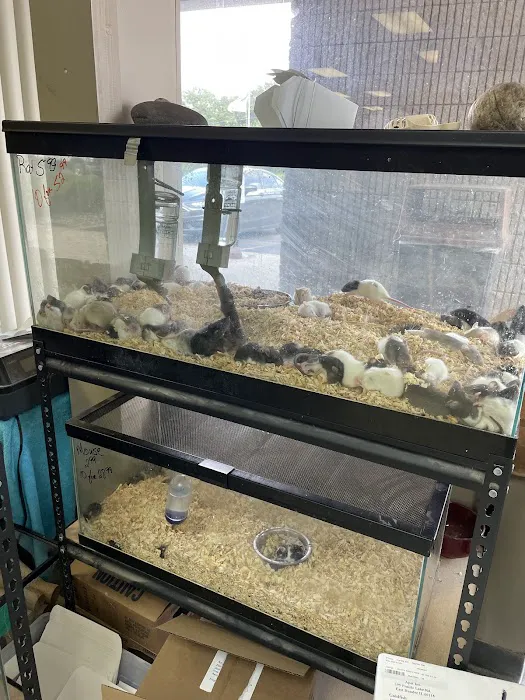 John’s Exotic Pet Store Picture 10