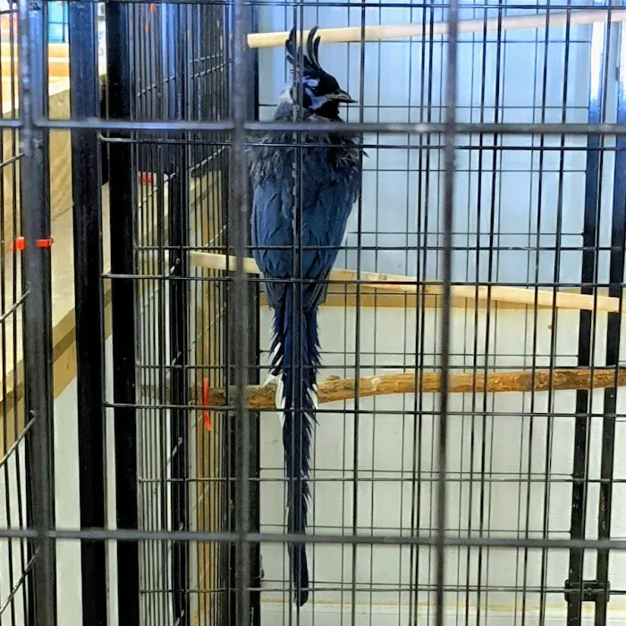 John’s Exotic Pet Store Picture 8