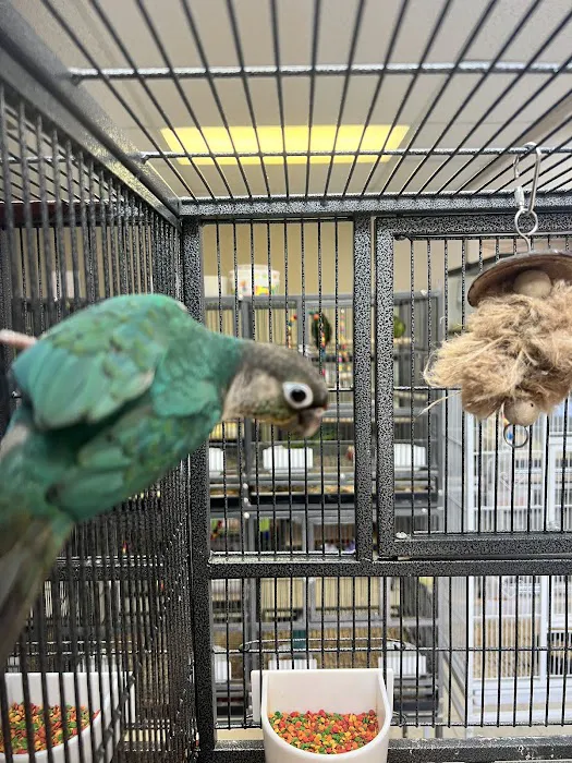 John’s Exotic Pet Store Picture 6