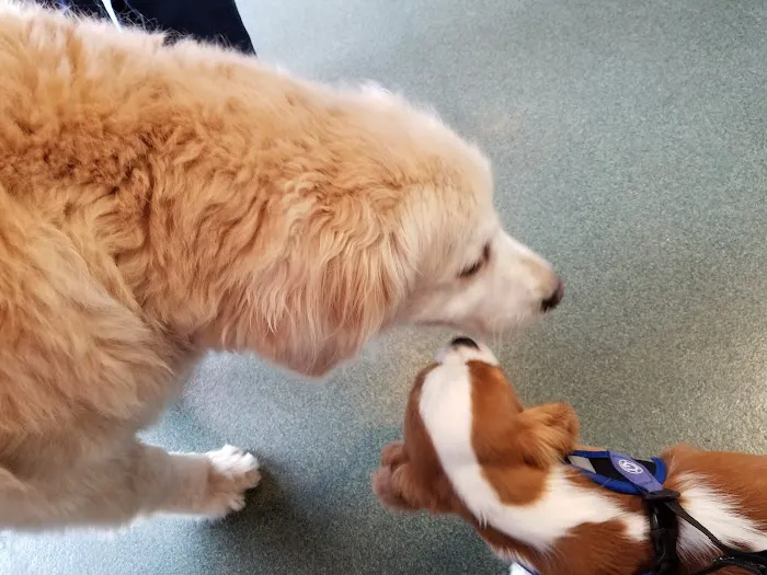 Montvale Animal Hospital Picture 5