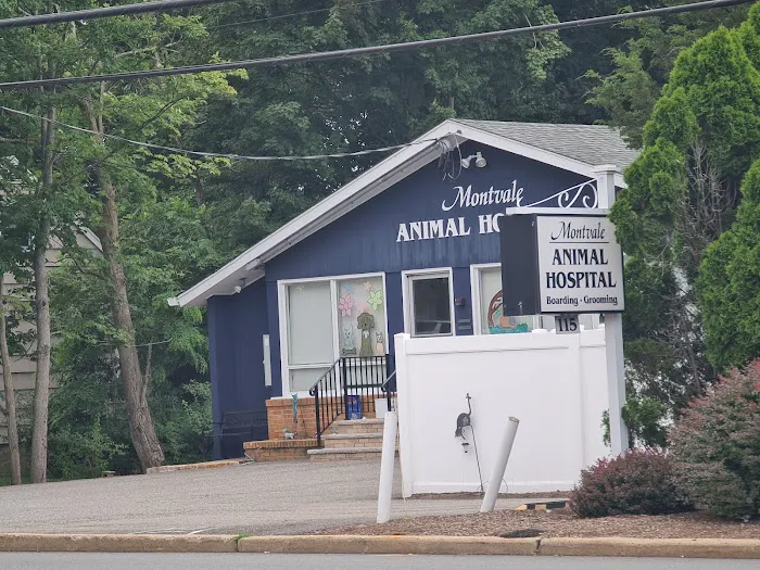 Montvale Animal Hospital Picture 2