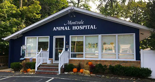 Montvale Animal Hospital Picture 10
