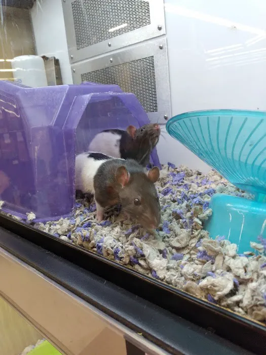 Petco Picture 2