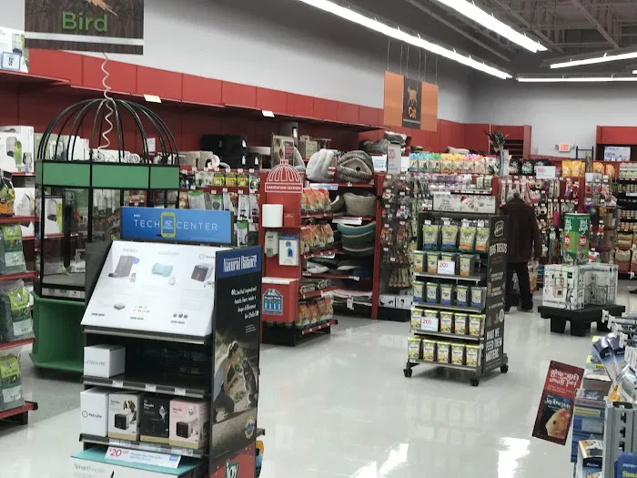 Petco Picture 8