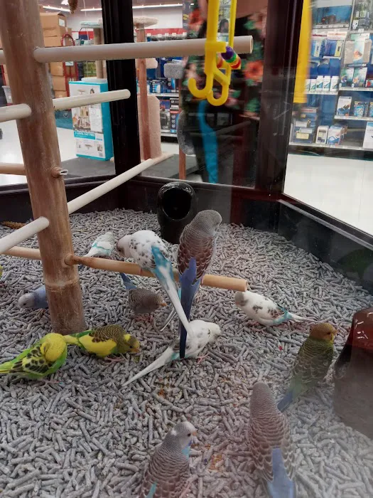 Petco Picture 5