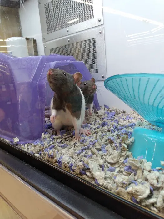 Petco Picture 1