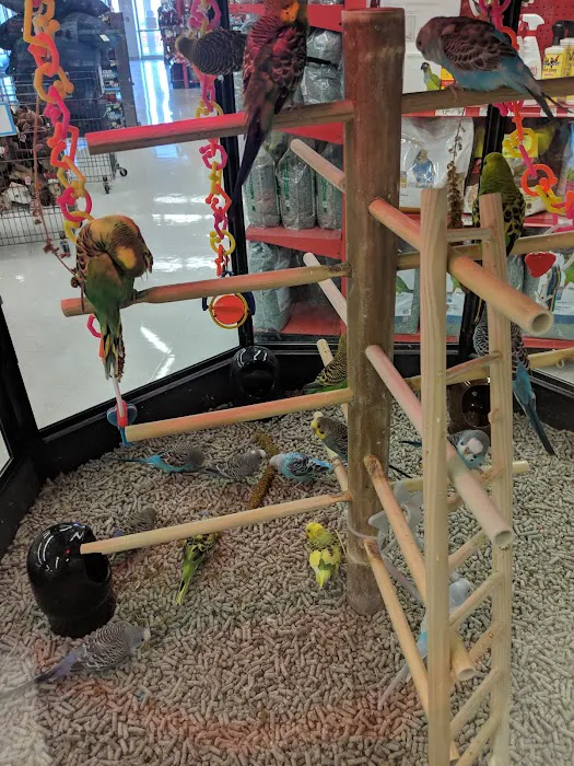 Petco Picture 10