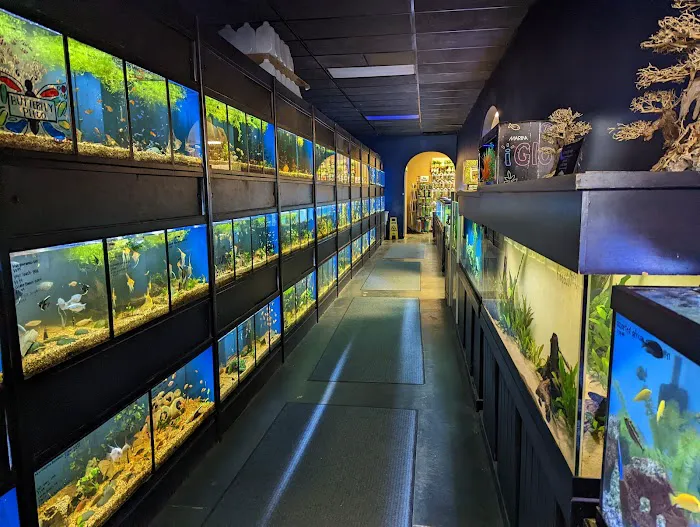 Olathe Pet Shop Picture 3