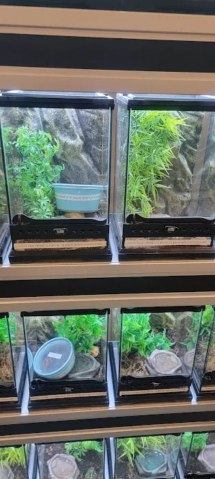 Olathe Pet Shop Picture 5