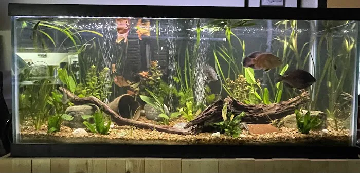 Olathe Pet Shop Picture 7